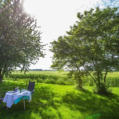 Polderhaus Deichblick Direkt Am Dullart * Bunde (Lower Saxony)