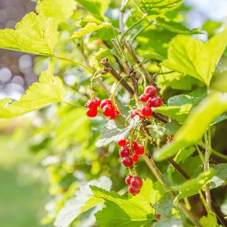 Polderhaus Deichblick Direkt Am Dullart *