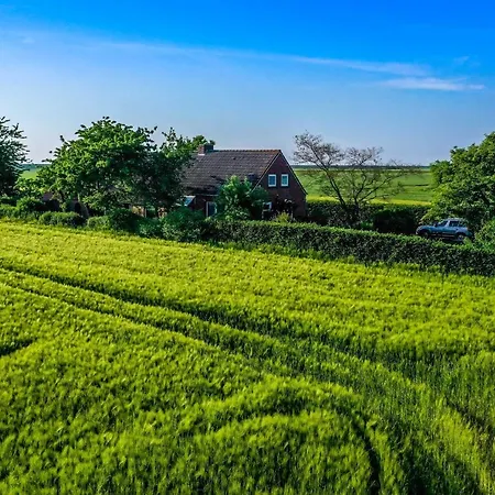 Polderhaus Deichblick Direkt Am Dullart Hébergement de vacances *