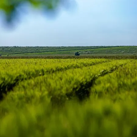 בית נופש Polderhaus Deichblick Direkt Am Dullart Bunde (Lower Saxony)