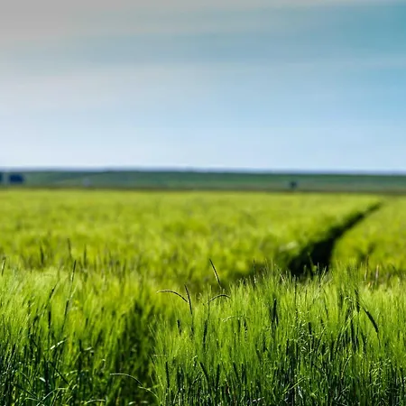 Polderhaus Deichblick Direkt Am Dullart Hébergement de vacances