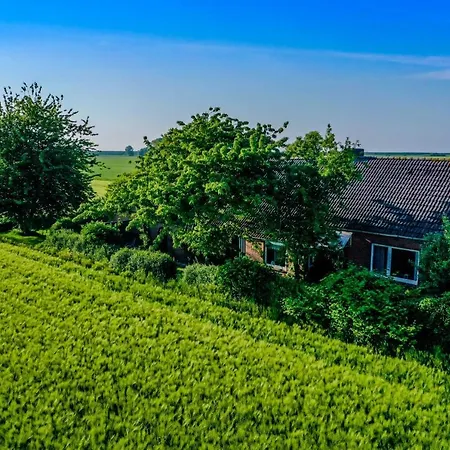 Polderhaus Deichblick Direkt Am Dullart * Bunde (Lower Saxony)