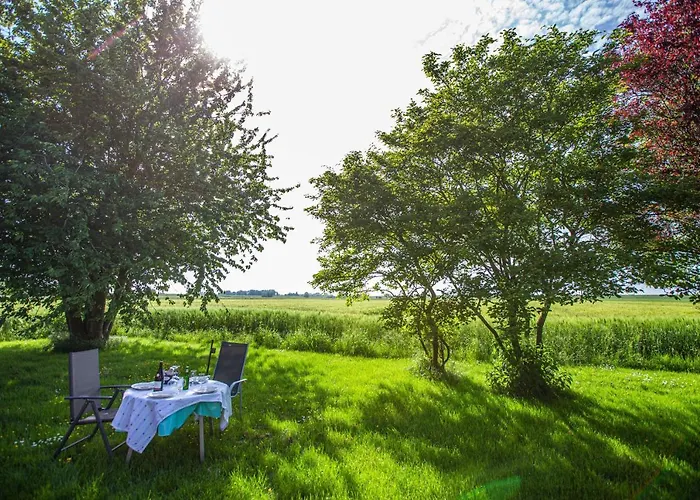 Polderhaus Deichblick Direkt Am Dullart * Bunde (Lower Saxony)