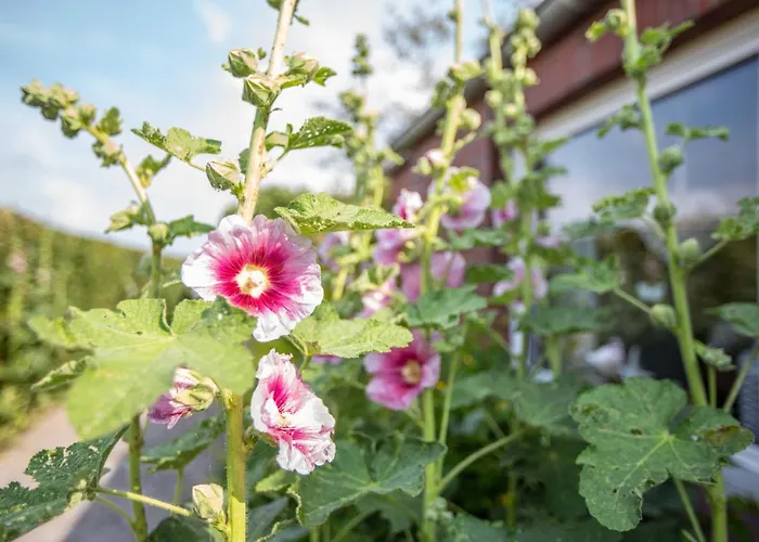 Polderhaus Deichblick Direkt Am Dullart Дом отдыха Bunde (Lower Saxony)