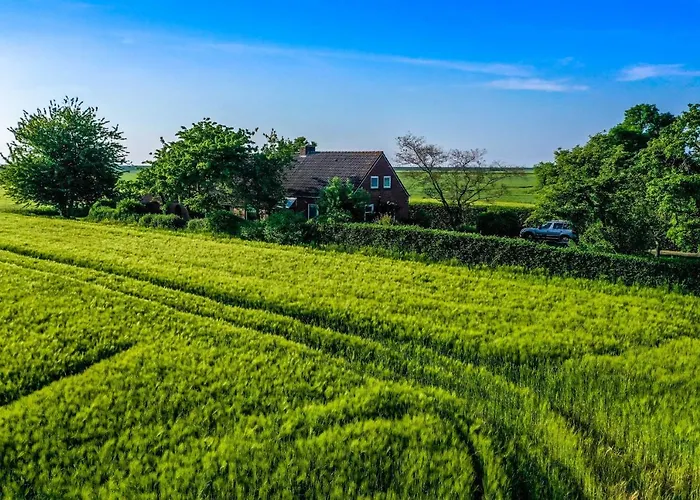 Polderhaus Deichblick Direkt Am Dullart Дом отдыха *
