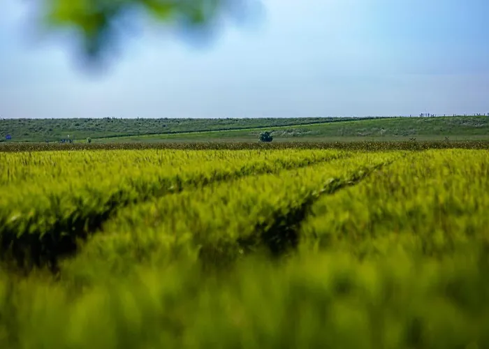 Дом отдыха Polderhaus Deichblick Direkt Am Dullart Bunde (Lower Saxony)