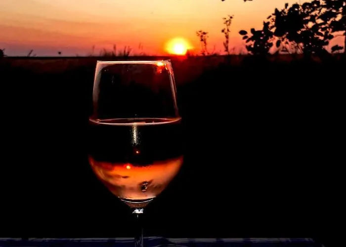 Дом отдыха Polderhaus Deichblick Direkt Am Dullart