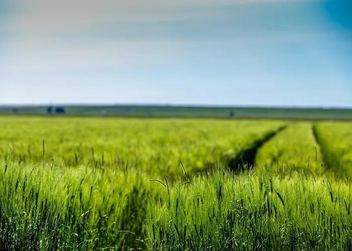 Polderhaus Deichblick Direkt Am Dullart Дом отдыха