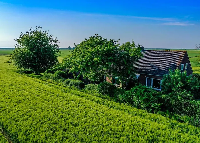 Polderhaus Deichblick Direkt Am Dullart * Bunde (Lower Saxony)